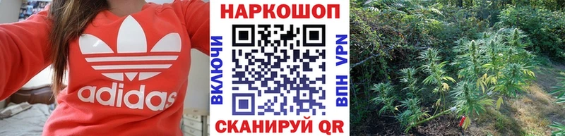 Купить наркотики цена Киреевск Кодеин  Мефедрон  КОКАИН  A PVP  ГАШ  МАРИХУАНА  АМФ 