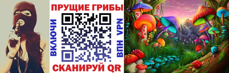 Галлюциногенные грибы GOLDEN TEACHER  Киреевск 